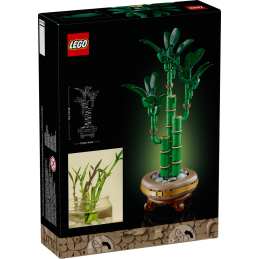 LEGO Botanicals 10344 Le...