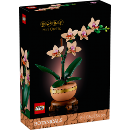 LEGO Botanicals 10343...