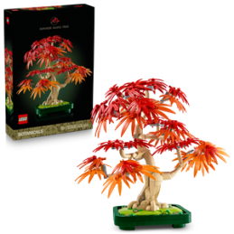 LEGO Botanicals 10348...
